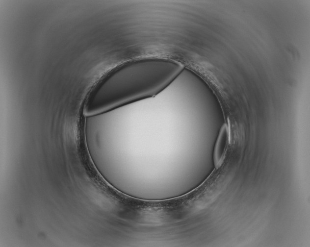 X0000112080252200908181248