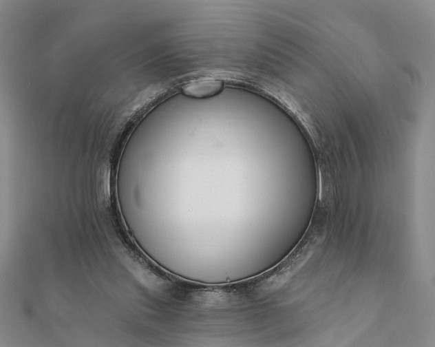 X0000112080253200908181248