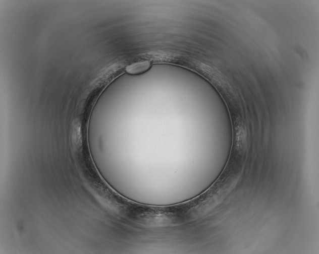 X0000112080254200908181248