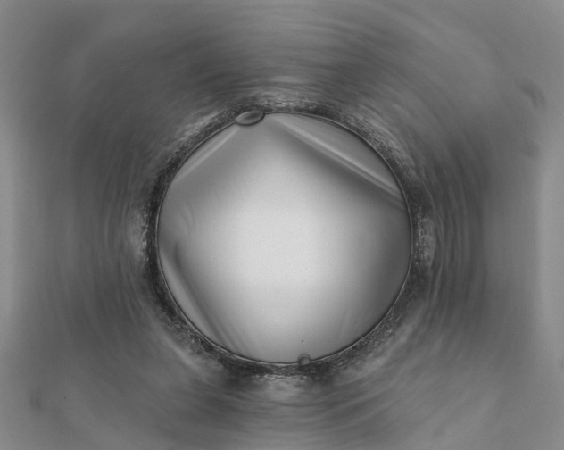 X0000112080255200908181248