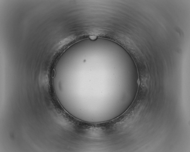 X0000112080256200908181248