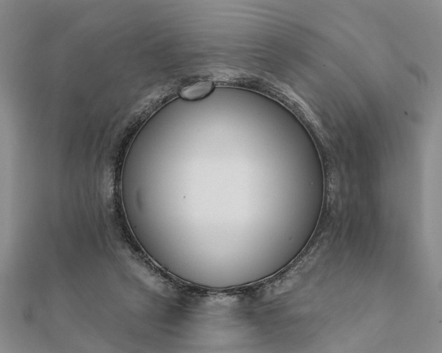 X0000112080257200908181248