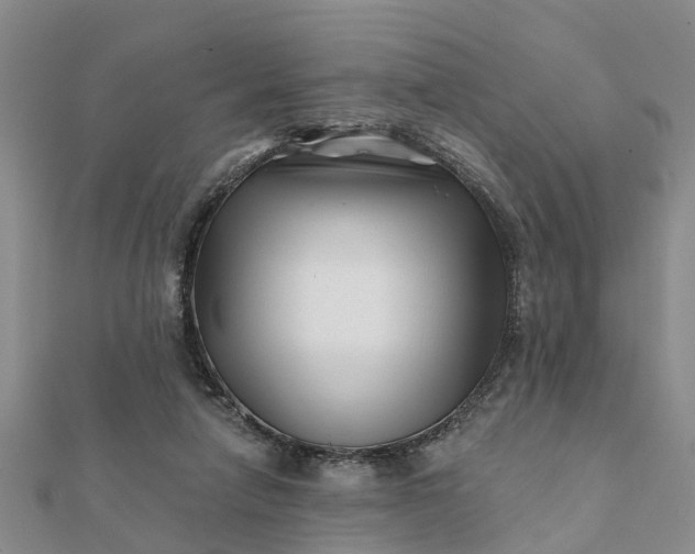 X0000112080258200908181248