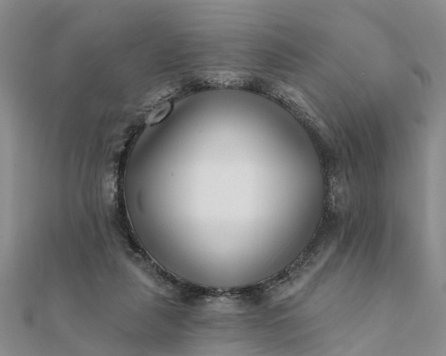 X0000112080259200908181248