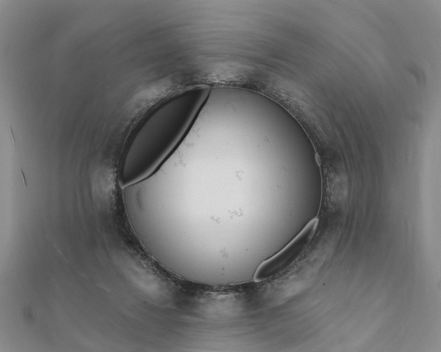 X0000112080260200908181248