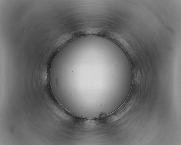 X0000112080261200908181248