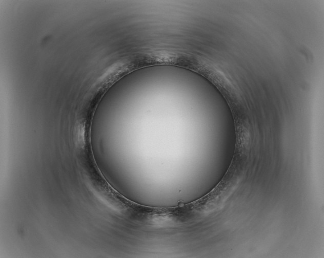 X0000112080262200908181248