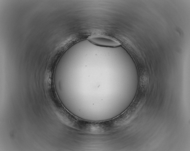 X0000112080264200908181248