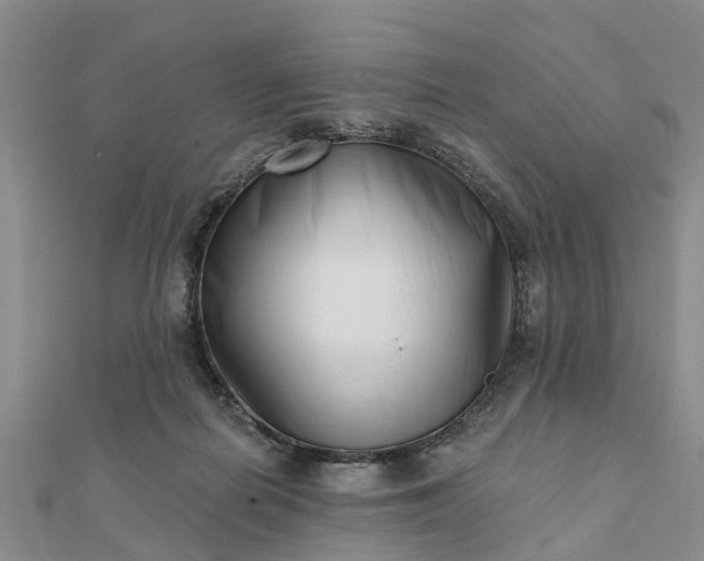 X0000112080266200908181248