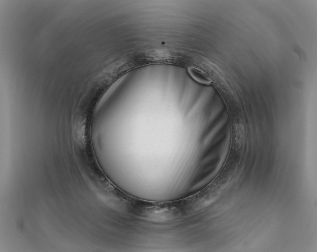 X0000112080267200908181248