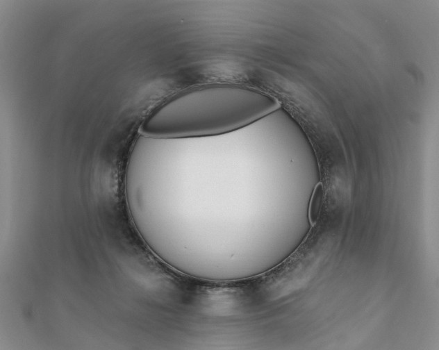 X0000112080268200908181248