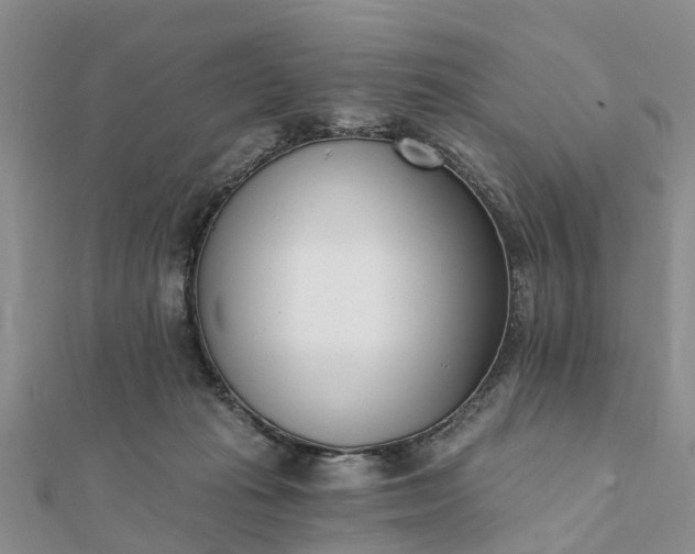 X0000112080269200908181248