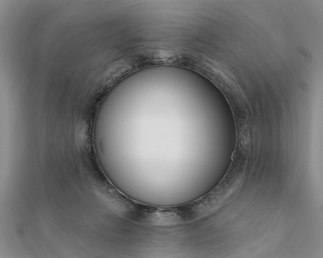 X0000112080270200908181248