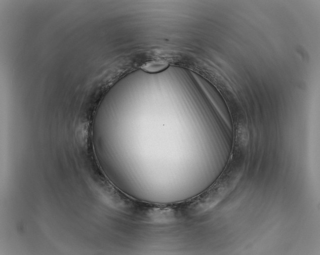 X0000112080271200908181248