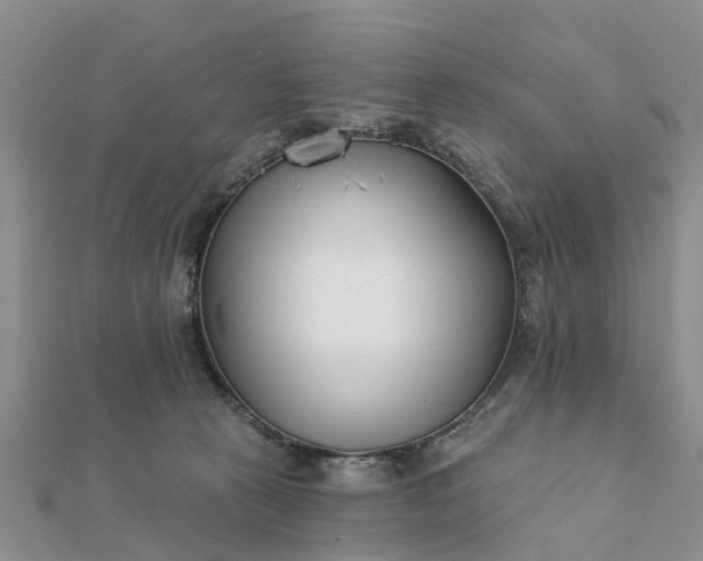 X0000112080273200908181248