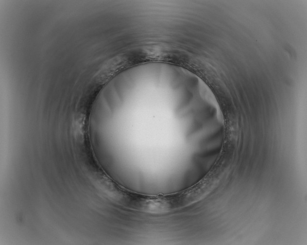 X0000112080275200908181248