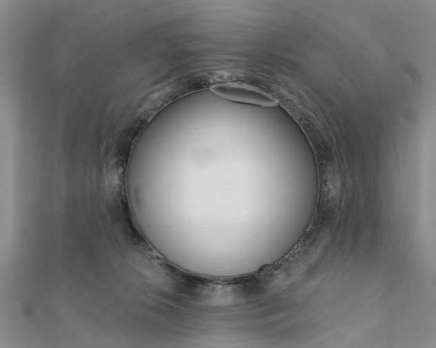 X0000112080276200908181248