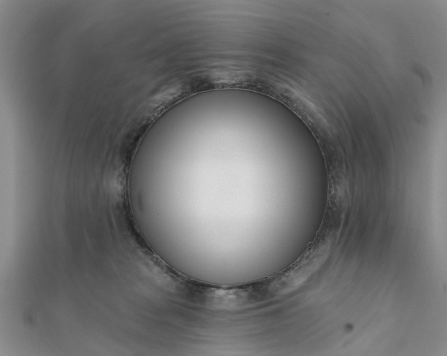 X0000112080277200908181248