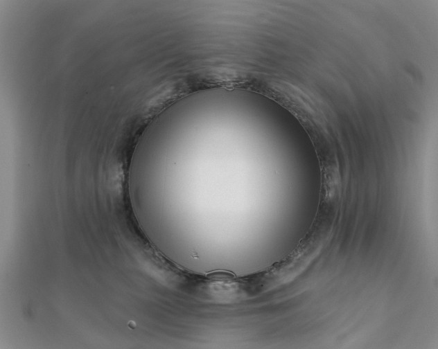 X0000112080279200908181248