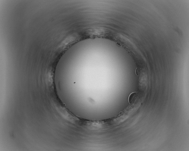 X0000112080282200908181248