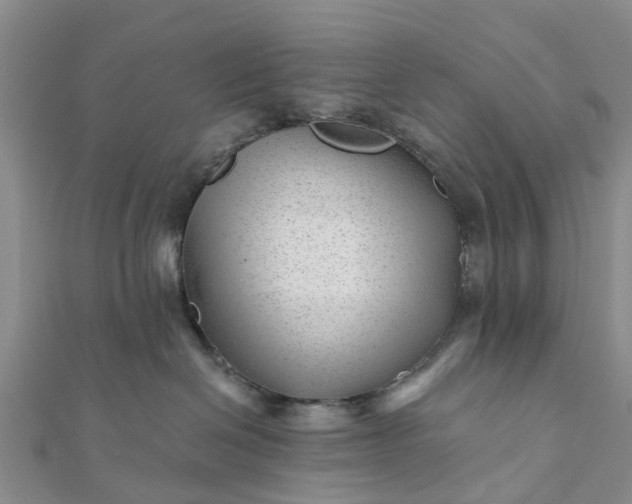 X0000112080286200908181248