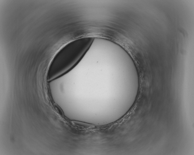 X0000112080289200908181248