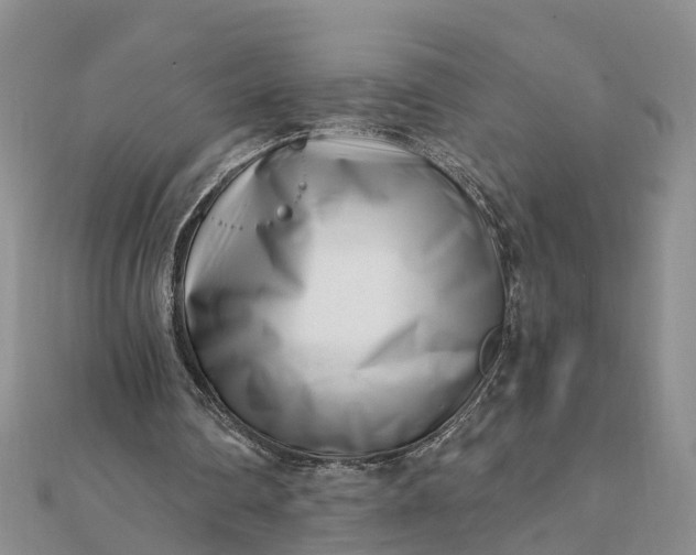 X0000112080290200908181248