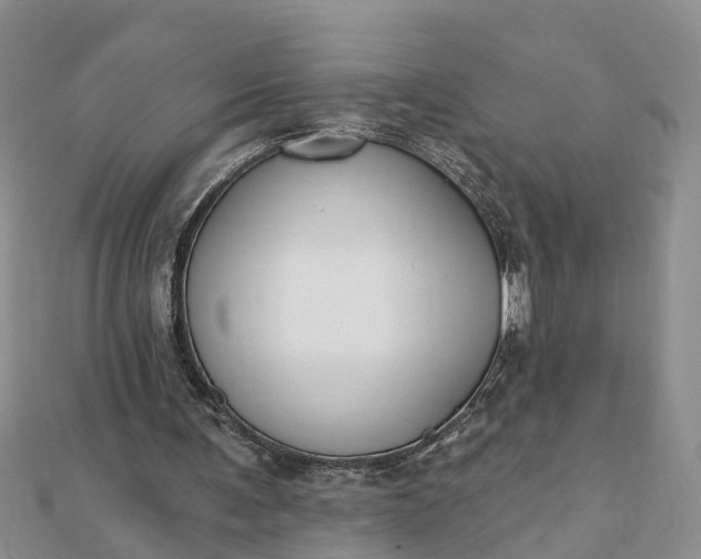 X0000112080291200908181248