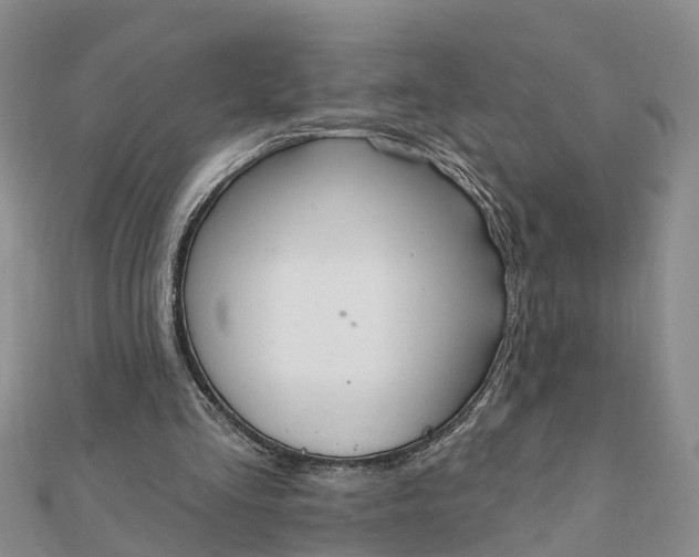 X0000112080293200908181248