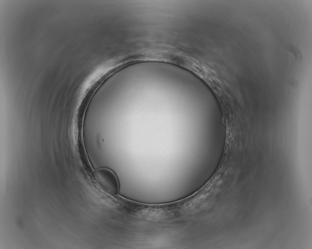 X0000112080294200908181248