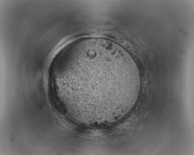 X0000112080295200908181248