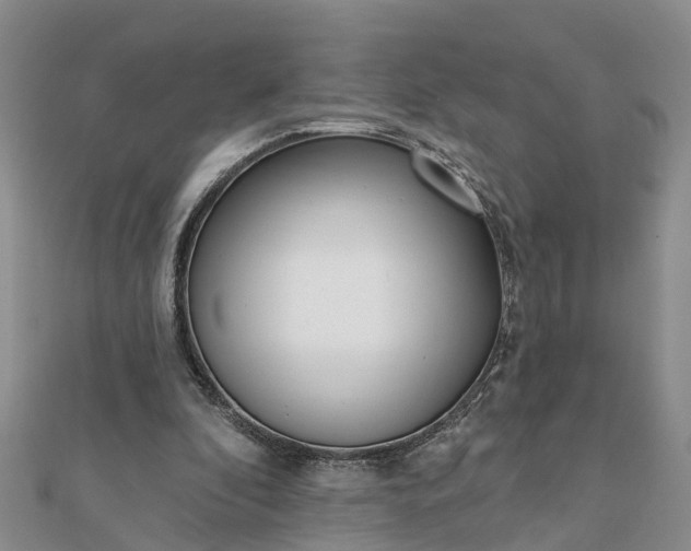 X0000112080296200908181248