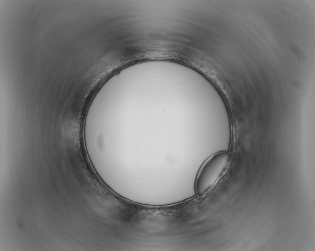 X0000112080297200908181248