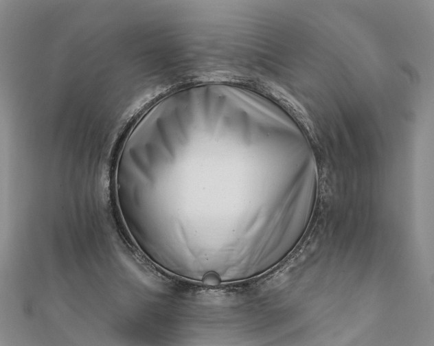 X0000112080298200908181248