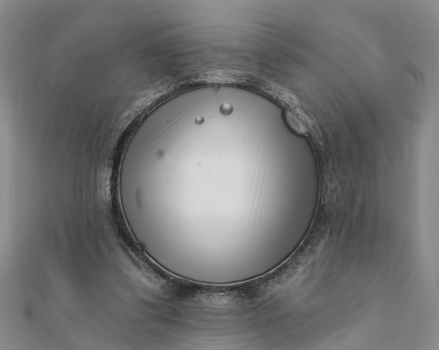 X0000112080299200908181248