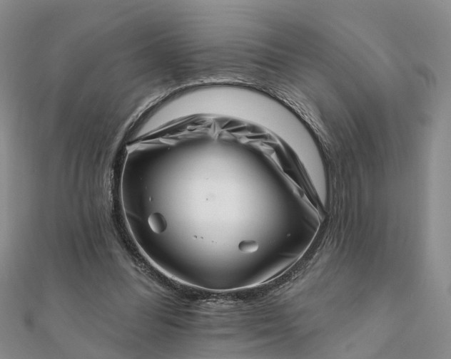 X0000112080300200908181248