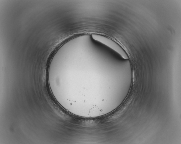 X0000112080301200908181248