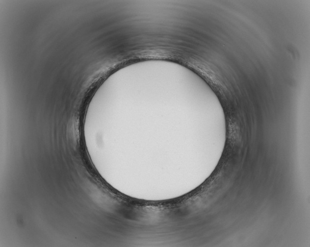 X0000112080302200908181248