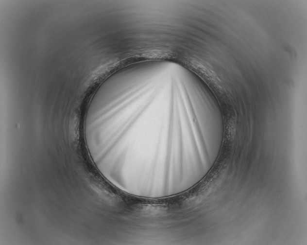 X0000112080303200908181248