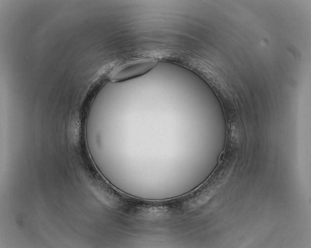 X0000112080304200908181248