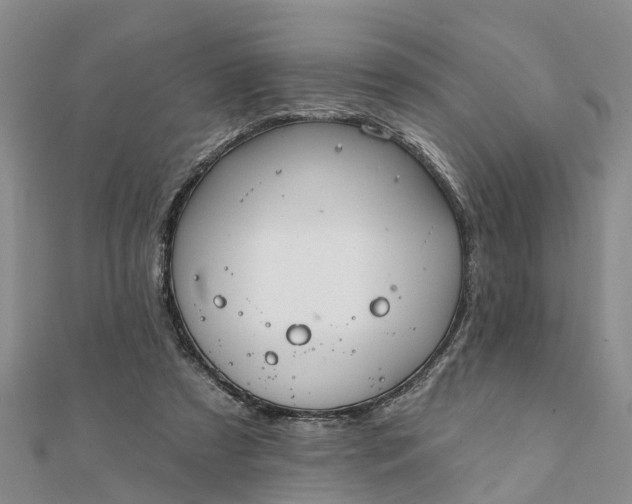 X0000112080305200908181248