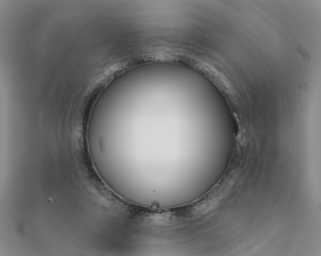 X0000112080306200908181248