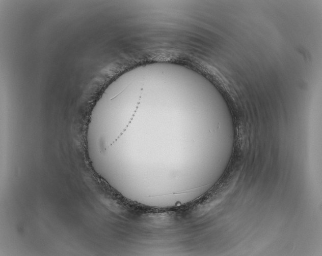 X0000112080307200908181248