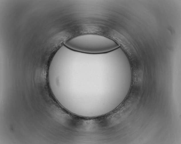 X0000112080309200908181248