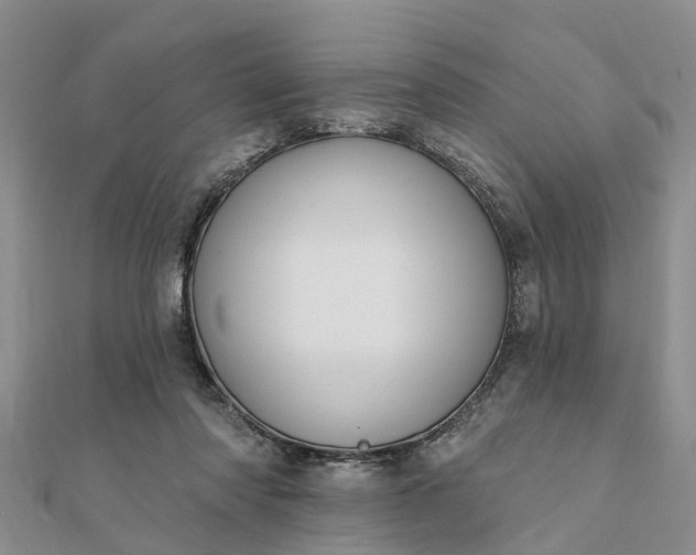 X0000112080310200908181248