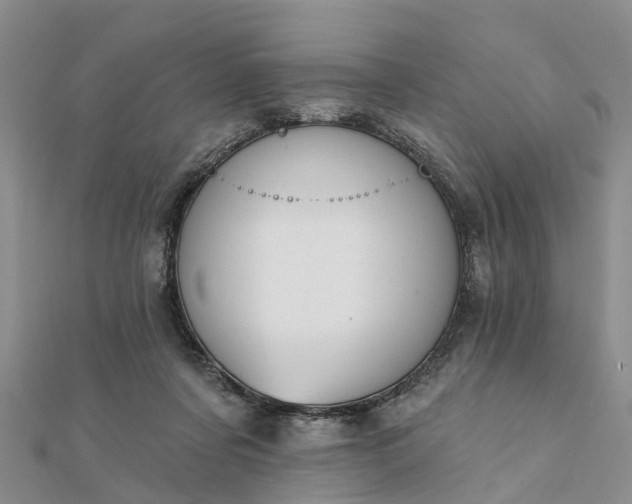 X0000112080311200908181248