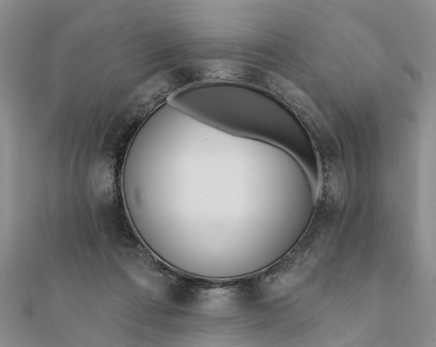 X0000112080312200908181247