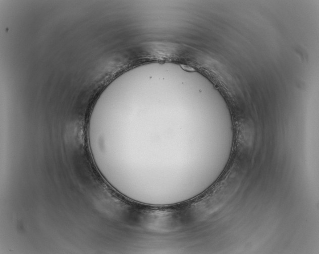 X0000112080313200908181247