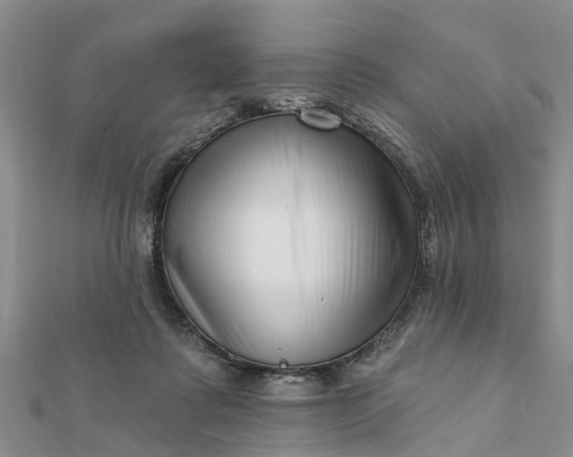 X0000112080315200908181247