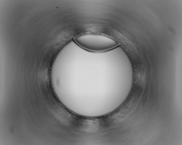 X0000112080317200908181247